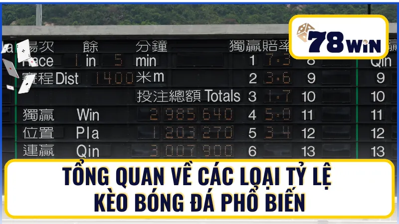 Tổng quan về các loại tỷ lệ kèo bóng đá phổ biến